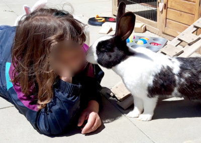 Complicité avec un lapin