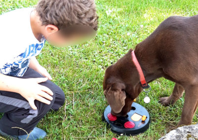 Séance de médiation animale avec un chien