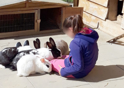 séance de médiation animale avec des lapins